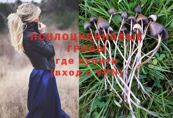 шишки Алзамай