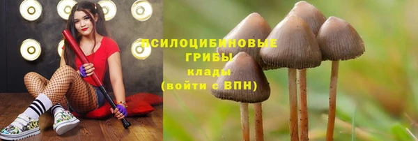 Альфа ПВП Абаза