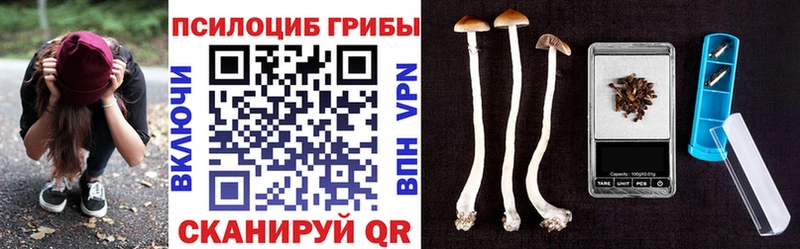 Галлюциногенные грибы мицелий  сколько стоит  Юхнов 